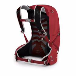 Osprey Talon 22 22 L Nero, Grigio, Rosso