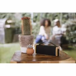 The House Of Marley Riddim BT Mini Altoparlante portatile mono Nero, Legno