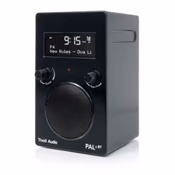 Tivoli Audio PAL+BT Portatile Analogico e digitale Nero