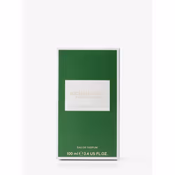 Michael Kors Green Infinity 100 ml Uomo - Vista aggiuntiva 4