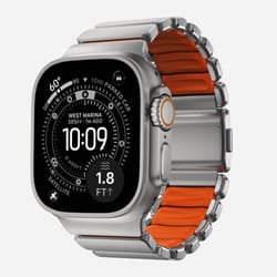 Nomad Stratos Band Naturale Titanio