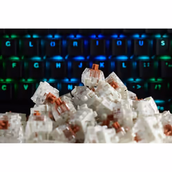 Glorious PC Gaming Race KAI-BRONZE interruttore a chiave Bronzo 120 pz
