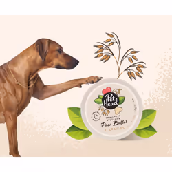 Pet Head On All Paws Paw Butter Balsamo - Vista aggiuntiva 4