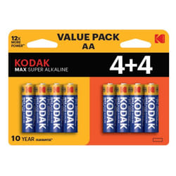 Kodak 30419902 batteria per uso domestico Stilo AA