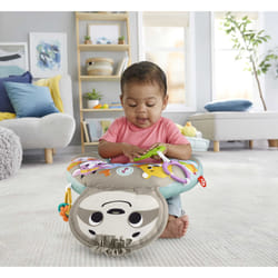 Fisher-Price GRR01 cuscino da bambino Multicolore