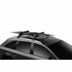 Thule SnowPack M Portapacchi per sport invernali Nero