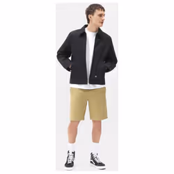Pantaloni corti Dickies COBDEN DK0A4XES-KHK KHAKI Beige - 31 - Vista aggiuntiva 2