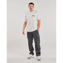 Pantalone Cargo Dickies MILLERVILLE Grigio - 32 - Vista aggiuntiva 2
