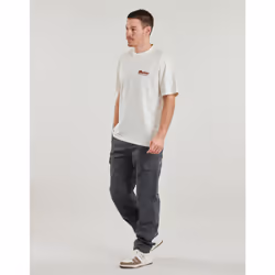 Pantalone Cargo Dickies MILLERVILLE Grigio - 32 - Vista aggiuntiva 3