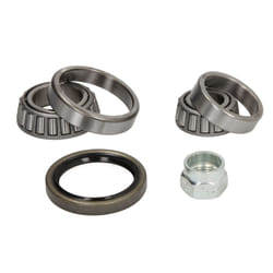 Set di cuscinetti ruota BTA H23039BTA sinistro