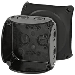 Hensel - 62000042 Cassetta di derivazione (l x l x a) 62 x 93 x 93 mm Nero IP66, IP67, IP69 1 pz.