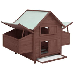 Pollaio 152 x 96 x 110 cm in legno massello di abete moka e bianco