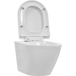 Wc sospeso senza brida, sedile wc, wc, wc, bagno, interno di casa, in resistente ceramica bianca