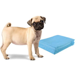 Helloshop26 - Tappetino addestramento cuccioli 5 strati set da 100 tappetini assorbenti per animali 60x60 cm