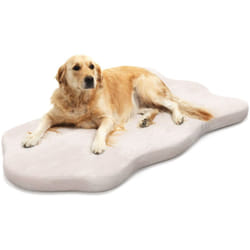 Cuccia per cani grande in memory foam, fodera sfoderabile e fondo antiscivolo, cuscino ortopedico per cani, 110 x 66 x 5 cm Beige