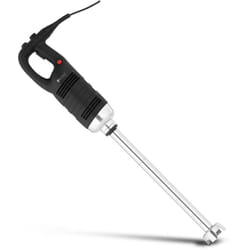 Frullatore a immersione 850 watt Piede frullatore elettrico da 550 mm (potenza: 850 watt, lunghezza piede: 550 mm, velocità di rotazione: 8.000