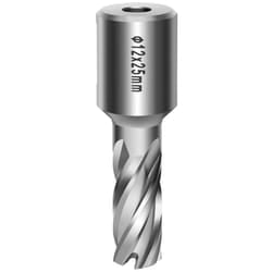 Punta per carotaggio con sega a tazza diamantata diametro 12 mm - 25 mm