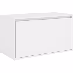 Questa panca da ingresso aggiunge un aspetto moderno e rappresenta un'aggiunta pratica ed elegante al tuo spazio abitativo. R ...