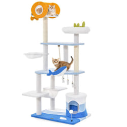 Centro attività multi-livello per gatti a tema oceano con tiragraffi rivestito in sisal per gatti da interni 168 cm Blu