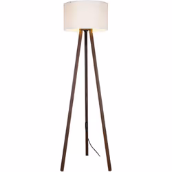 Lampada da terra Questa lampada da terra elegante e moderna adornerà la stanza, adattandosi alla decorazione della casa. Desc ...