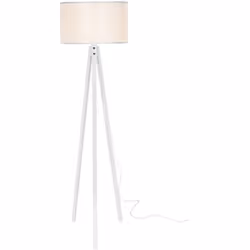 Lampada da terra Questa lampada da terra elegante e moderna adornerà la stanza, adattandosi alla decorazione della casa. Desc ...