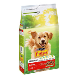 Friskies Cane Crocchette Active con Manzo, 4 kg