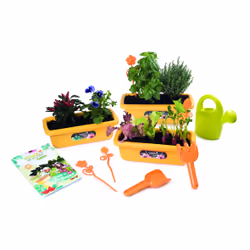 Smoby 7600870308, Francia, 138 mm, 223 mm, 294 mm