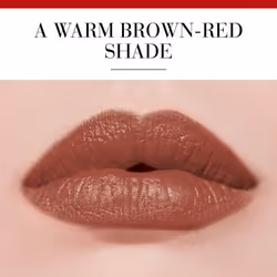 Bourjois Rouge Edition 3,5 g 05 Brun Boheme Lucida