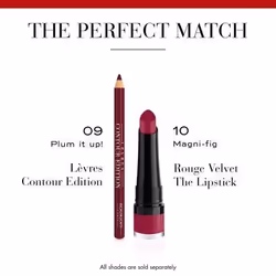 Bourjois Lèvres Contour Edition 1,14 g 09 Plum It Up! - Vista aggiuntiva 6