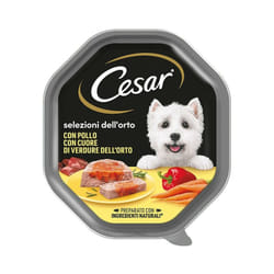 Dog Cuore di Verdure con Pollo in Patè Dog Cuore di Verdure con Pollo in Patè - Vaschetta Da 150 Gr - Cesar