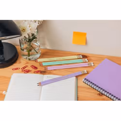 BIC Evolution HB 12 pz - Vista aggiuntiva 3