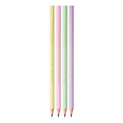 BIC Evolution 2HB 12 pz