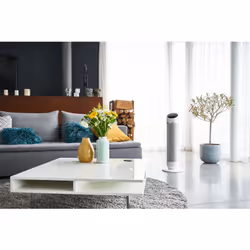 Rowenta Silent Comfort 3-in-1 HQ8120 Interno Argento 2400 W Riscaldatore ambiente elettrico con ventilatore - Vista aggiuntiva 6