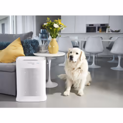 Rowenta Pure Air Genius, Purificatore d’Aria Silenzioso, Filtra Fino al 100% di Particelle Fini e Allergeni, 4 Livelli di Filtraggio, App e Connessione WiFi, Copertura Fino a 140 m2 - Vista aggiuntiva 4