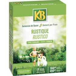 KB Semi, Multicolore, Standard