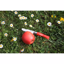 Opinel 254143 coltello da tasca Camper/scout Rosso - Vista aggiuntiva 2