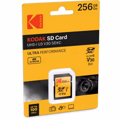 Kodak EKMSD256GXC10HPRK memoria flash 256 GB SDXC UHS-I Classe 10 - Vista aggiuntiva 2