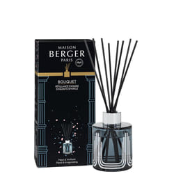 Maison Berger Paris MB6662 diffusore di aromi Flacone di fragranza Vetro Grigio, Argento