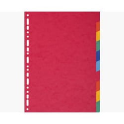Exacompta 2110E divisore Cartone
