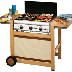 Campingaz Adelaïde 3 Woody propano/butano Legno 14000 W