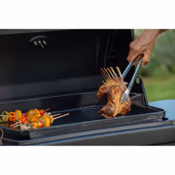 Campingaz Plancha EX3 Grill Zona cottura Gas Nero 7500 W