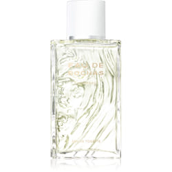 Rochas Eau de Rochas Homme 100 ml