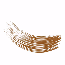 Eyebrow Liposourcils mascara #chatain