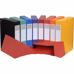 Exacompta 16000H raccoglitore 500 fogli Multicolore Carta