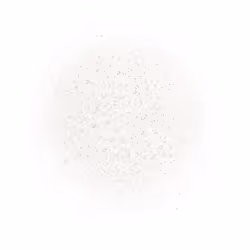 CHANEL N°1 DE Siero Brume Corpo Rivitalizzante 140 ml - Vista aggiuntiva 4