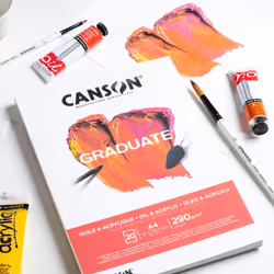Canson Graduate, Foglio d'arte, 290 g/m², 20 fogli