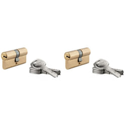 SP - Set di 2 cilindri europei a doppia entrata 5G 30X30mm - 10 chiavi reversibili - thirard