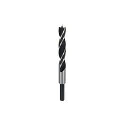 Bosch - Professional Twist Drill (per legno, ø 15 mm, accessori per trapano rotante)
