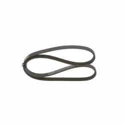 Cinghia Poly-V BOSCH 1 987 948 359 - Vista aggiuntiva 4