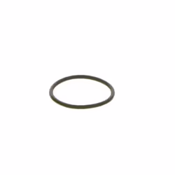 O-ring, guida comune BOSCH F 00R 0P0 166 - Vista aggiuntiva 2